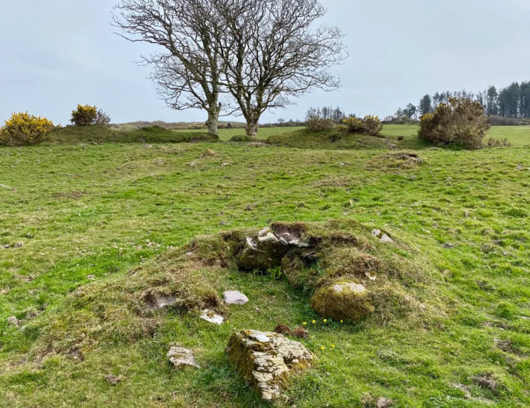 Ballyallaban Earthen Ringfort, Ireland